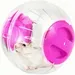 ZooVenture Laufball für Hamster, Ratten und Rennmäuse