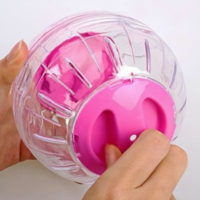 ZooVenture Balle d'exercice pour hamsters, rats et gerbilles