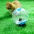 ZooVenture Trois Transparent Roue D'exercice Pour Hamster