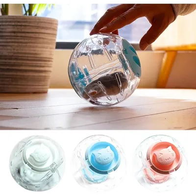 ZooVenture Trois Transparent Roue D'exercice Pour Hamster