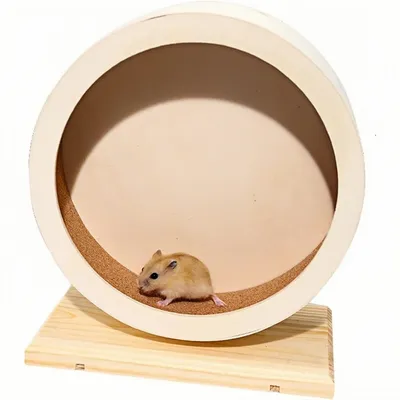 ZooVenture Roue d'exercice pour petits animaux ZooVenture Roue d'exercice pour petits animaux