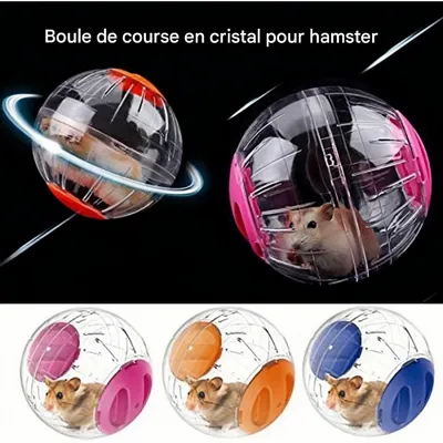 ZooVenture Pelota de ejercicio para hámsteres, ratas y jerbos