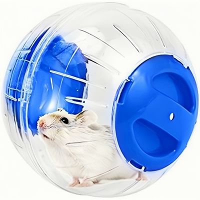 ZooVenture Balle d'exercice pour hamsters, rats et gerbilles