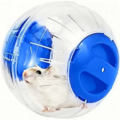 ZooVenture Balle d'exercice pour hamsters, rats et gerbilles ZooVenture Balle d'exercice pour hamsters, rats et gerbilles