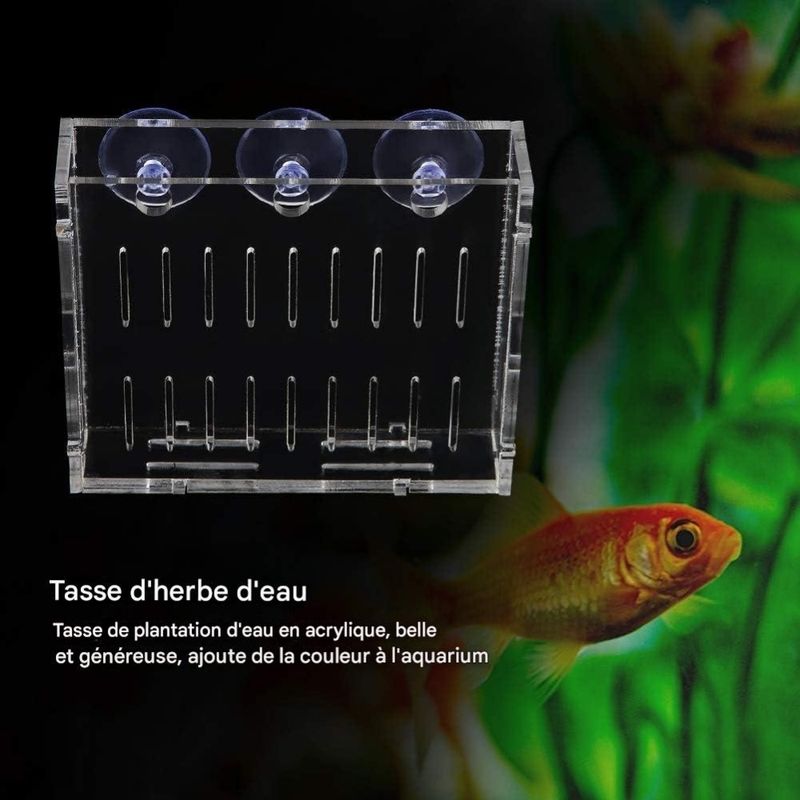 ZooVenture Acrylique Réservoir de Poissons pour Aquarium