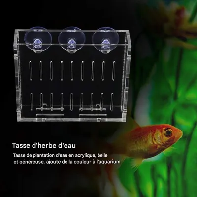 ZooVenture Acrylique Réservoir de Poissons pour Aquarium