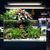 ZooVenture Anti Flottantes Anneau de Fixation pour Plantes Aquatiques