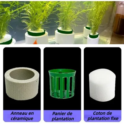 ZooVenture Anti Flottantes Anneau de Fixation pour Plantes Aquatiques