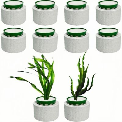 ZooVenture Anti Flottantes Anneau de Fixation pour Plantes Aquatiques