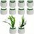 ZooVenture Anti Flottantes Anneau de Fixation pour Plantes Aquatiques