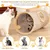 ZooVenture Tunnel chat pliable pour chats et lapins