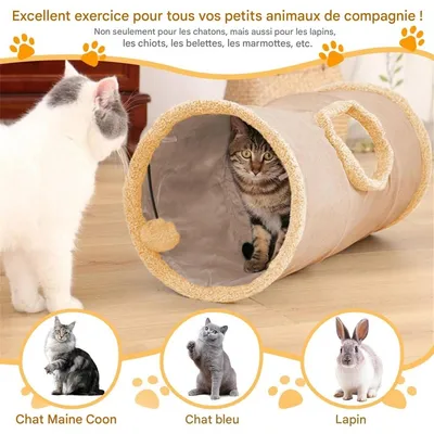 ZooVenture Tunnel chat pliable pour chats et lapins