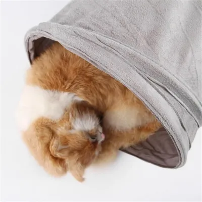 ZooVenture Jouet tunnel interactif pour chats