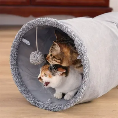 IntiMeg Tunnel pour chat à quatre trous 130cm