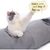 IntiMeg Tunnel pour chat à quatre trous 130cm