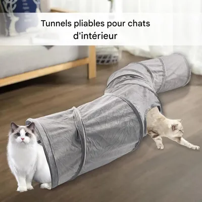 ZooVenture Jouet tunnel interactif pour chats