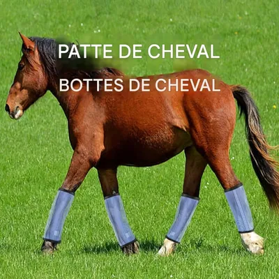 ZooVenture 4-pack leggings anti-mouches pour chevaux