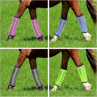 ZooVenture 4-pack leggings anti-mouches pour chevaux