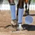 ZooVenture 4-pack leggings anti-mouches pour chevaux