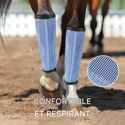 ZooVenture 4-pack leggings anti-mouches pour chevaux