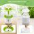 ZooVenture Triple Action Filtres De Remplacement Pour Fontaine À Eau Chat