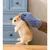ZooVenture Anti - morsure Gants pour Hamster et autres petits animaux
