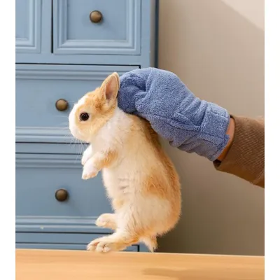 ZooVenture Anti - morsure Gants pour Hamster et autres petits animaux