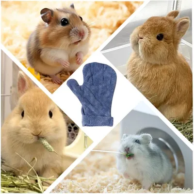 ZooVenture Anti - morsure Gants pour Hamster et autres petits animaux