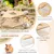 ZooVenture Sandbad für Hamster, Rennmäuse und Chinchillas ZooVenture Sandbad für Hamster, Rennmäuse und Chinchillas