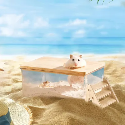 ZooVenture Sandbad für Hamster, Rennmäuse und Chinchillas