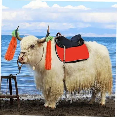 ZooVenture Cloche en laiton anti - perte pour animaux