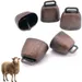 ZooVenture Lot de cloches en cuivre pour animaux