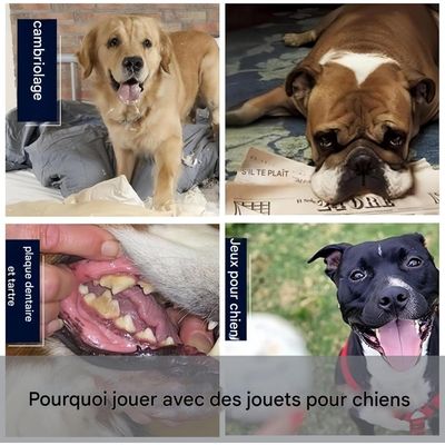 ZooVenture  Balles jouets pour chien ensemble 3 pièces