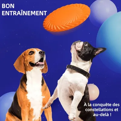 ZooVenture Double Usage Frisbees Pour chien