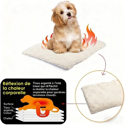ZooVenture Auto - Chauffant Coussin pour Chat