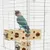 ZooVenture Jouet à mâcher en bois de pin pour perroquets et perruches
