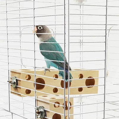 ZooVenture Jouet à mâcher en bois de pin pour perroquets et perruches