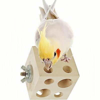 ZooVenture Jouet à mâcher en bois de pin pour perroquets et perruches