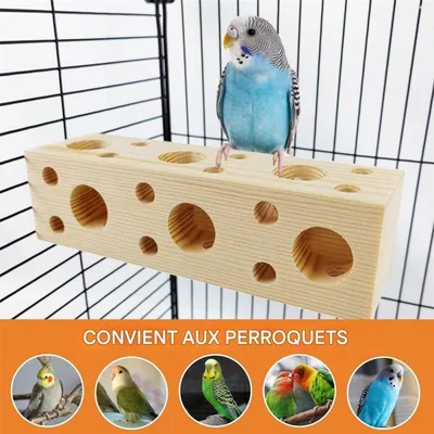 ZooVenture Jouet à mâcher en bois de pin pour perroquets et perruches