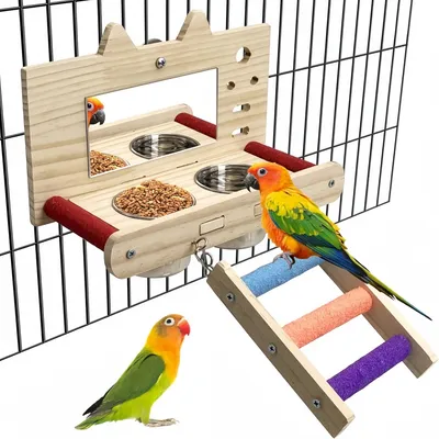 ZooVenture Espejo de juguete anti-mordeduras con percha para pájaros