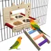 Jouet à Miroir Anti-Morsure avec Perchoir pour Oiseau