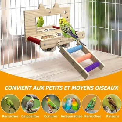 Jouet à Miroir Anti-Morsure avec Perchoir pour Oiseau
