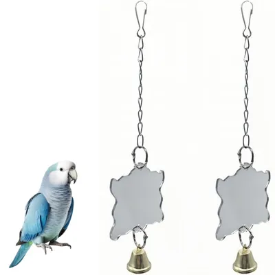ZooVenture Juguetes de espejo para pájaros