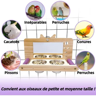 Jouet à Miroir Anti-Morsure avec Perchoir pour Oiseau