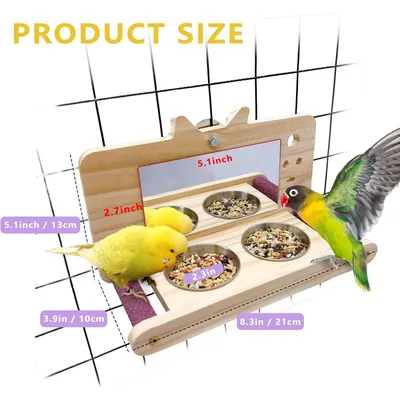 Jouet à Miroir Anti-Morsure avec Perchoir pour Oiseau