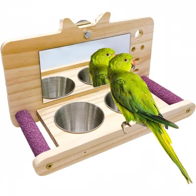 ZooVenture Espejo de juguete anti-mordeduras con percha para pájaros