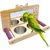 Jouets miroirs