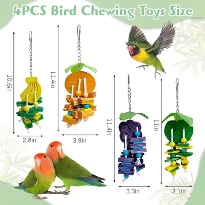 ZooVenture Jouets à ronger pour perroquet et perruche