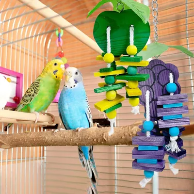 ZooVenture Juguetes para masticar para loros y periquitos
