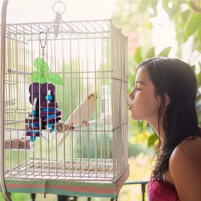 ZooVenture Juguetes para masticar para loros y periquitos